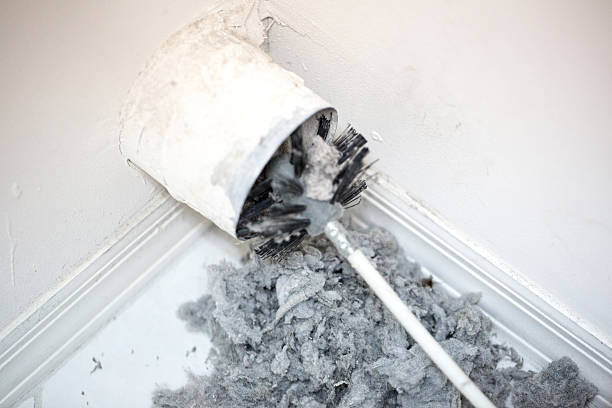 Best Residential Air Duct Cleaning  in Bonifay, FL